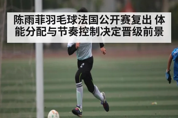 陈雨菲羽毛球法国公开赛复出 体能分配与节奏控制决定晋级前景 - bsports